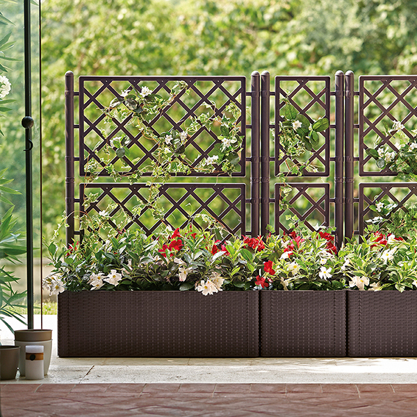 Lillekast Deluxe võrega - Image 2