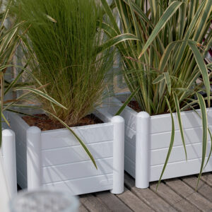 Itaalia kandiline lillekast