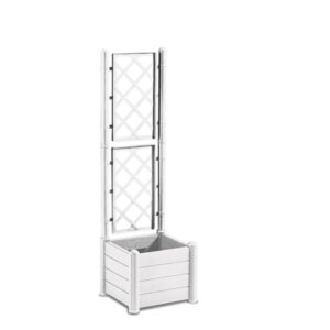 Itaalia kandiline lillekast võrega